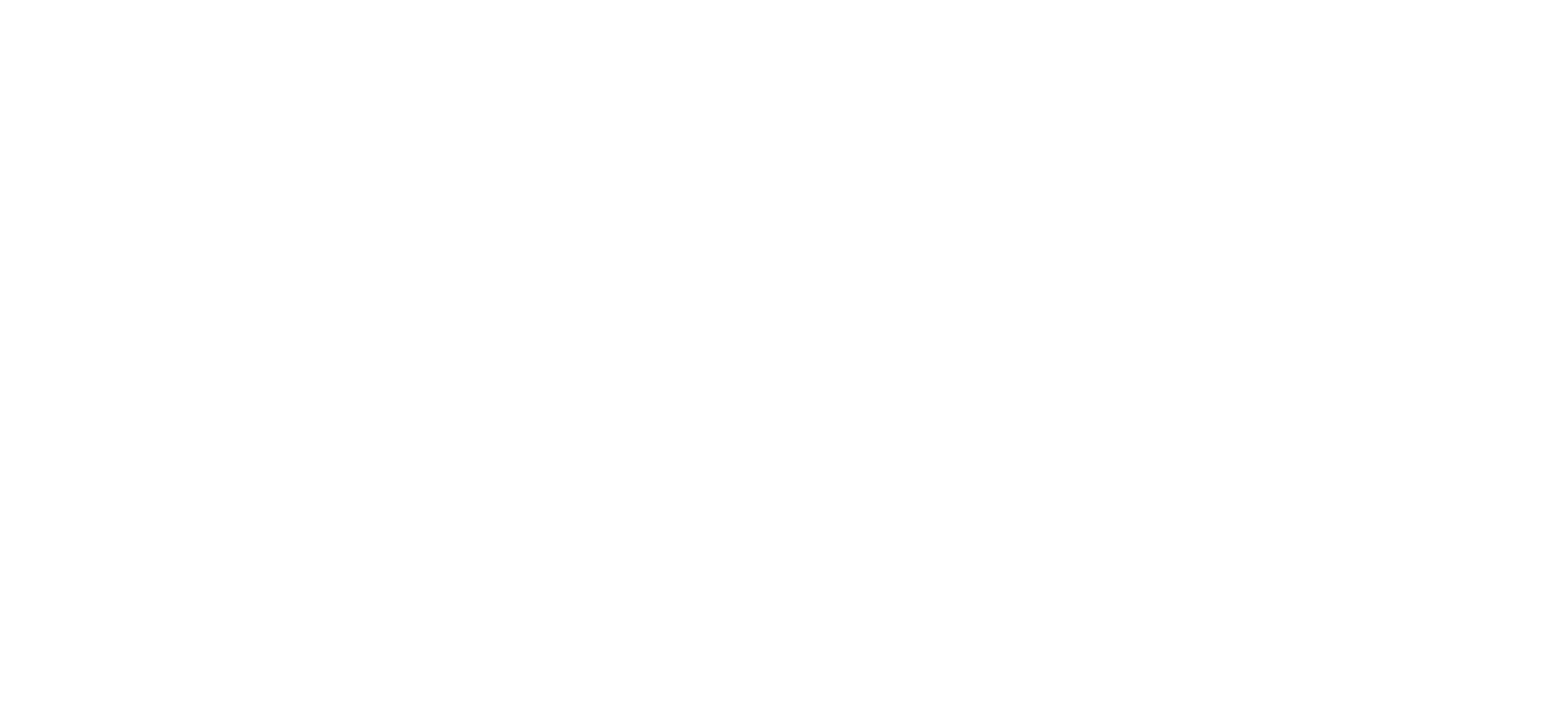 Elite IT Systems Logo